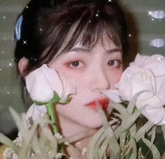 似火流年在线观看
