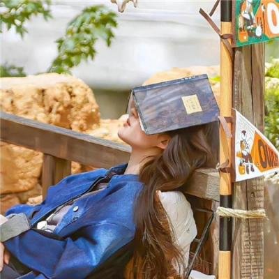 抢翻天在线观看